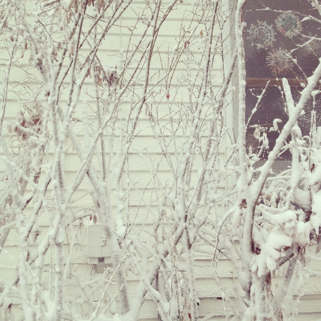 Seeing Things: Winter White