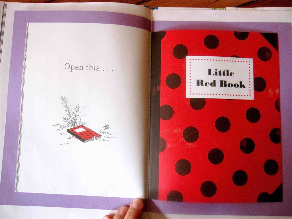 Open This LIttle Book