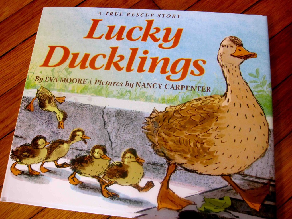 Review: Lucky Ducklings