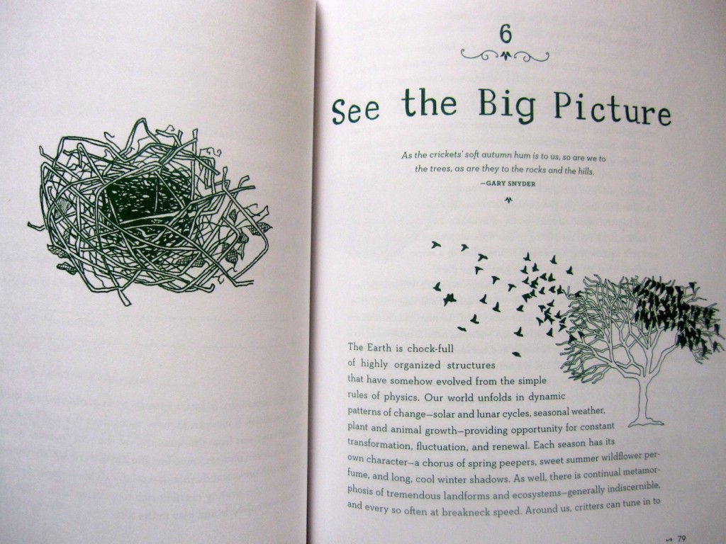 This Book Was a Tree