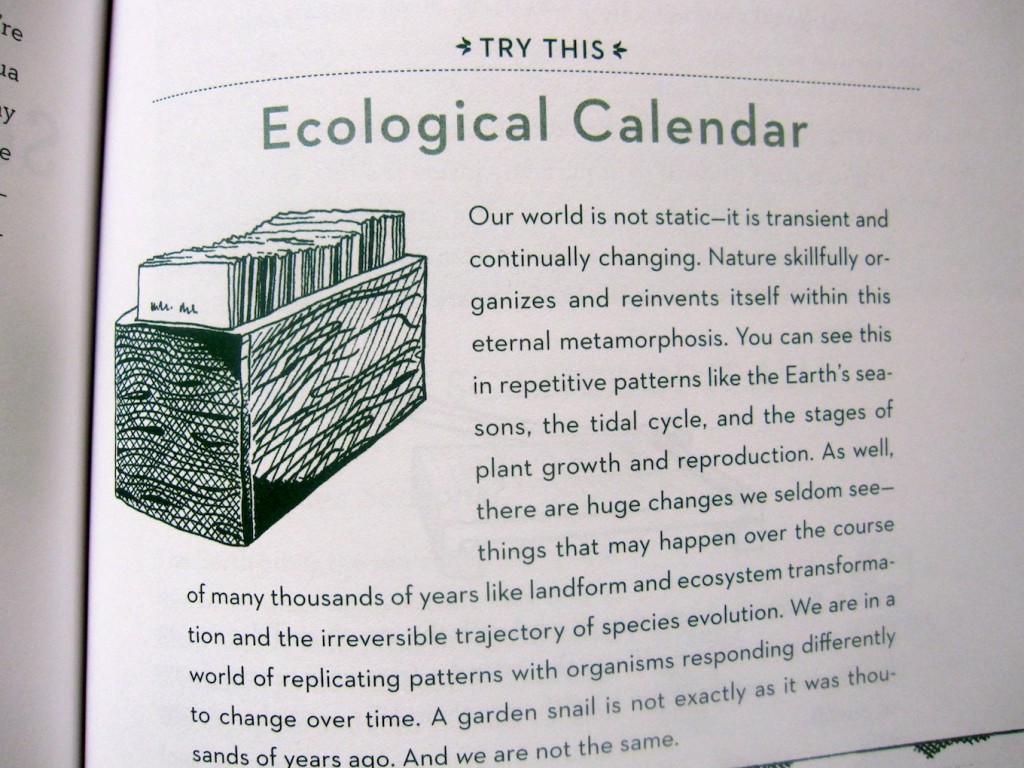 This Book Was a Tree 1