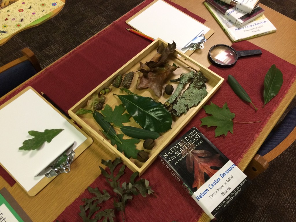 Nature Center in library