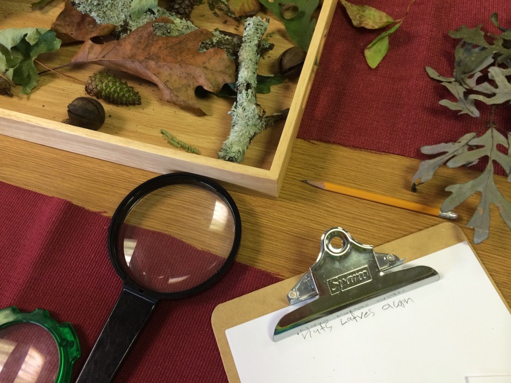 nature center 2