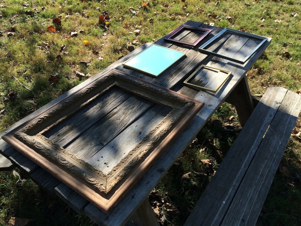 nature provocation