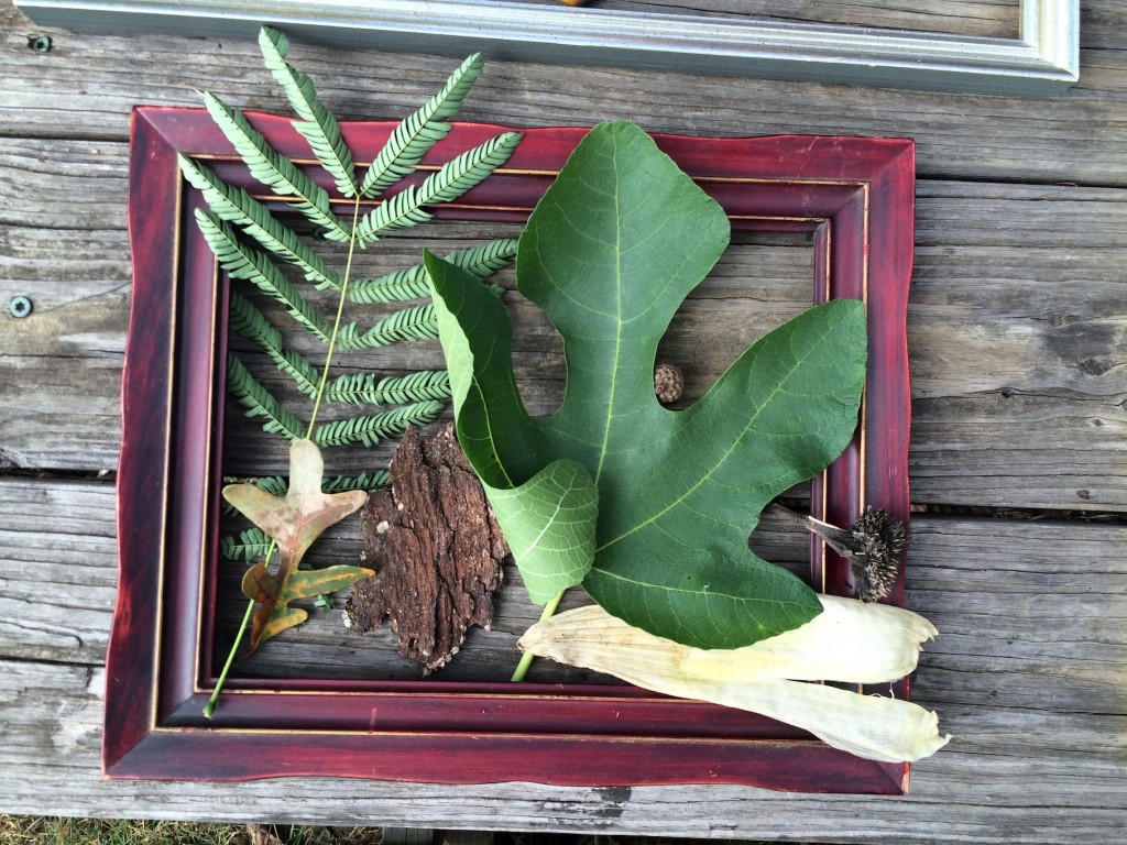 Ephemeral Leaf Art 1
