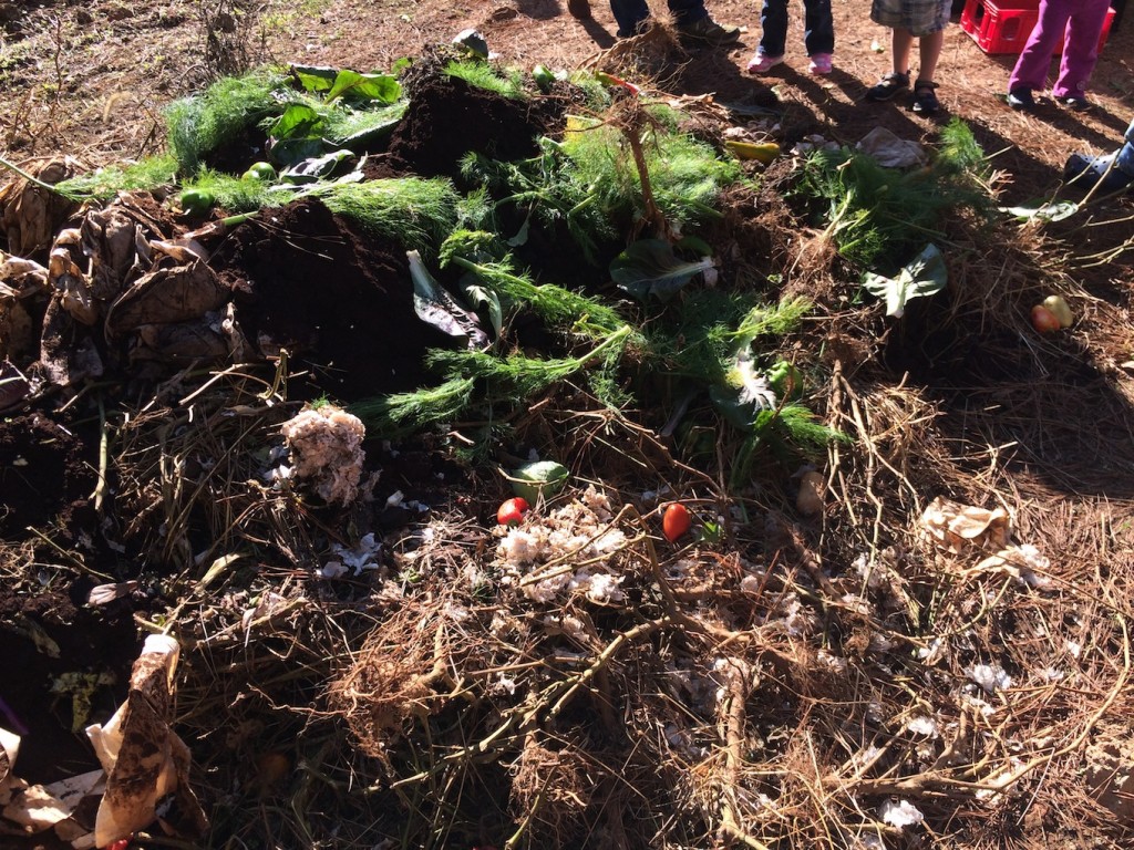compost