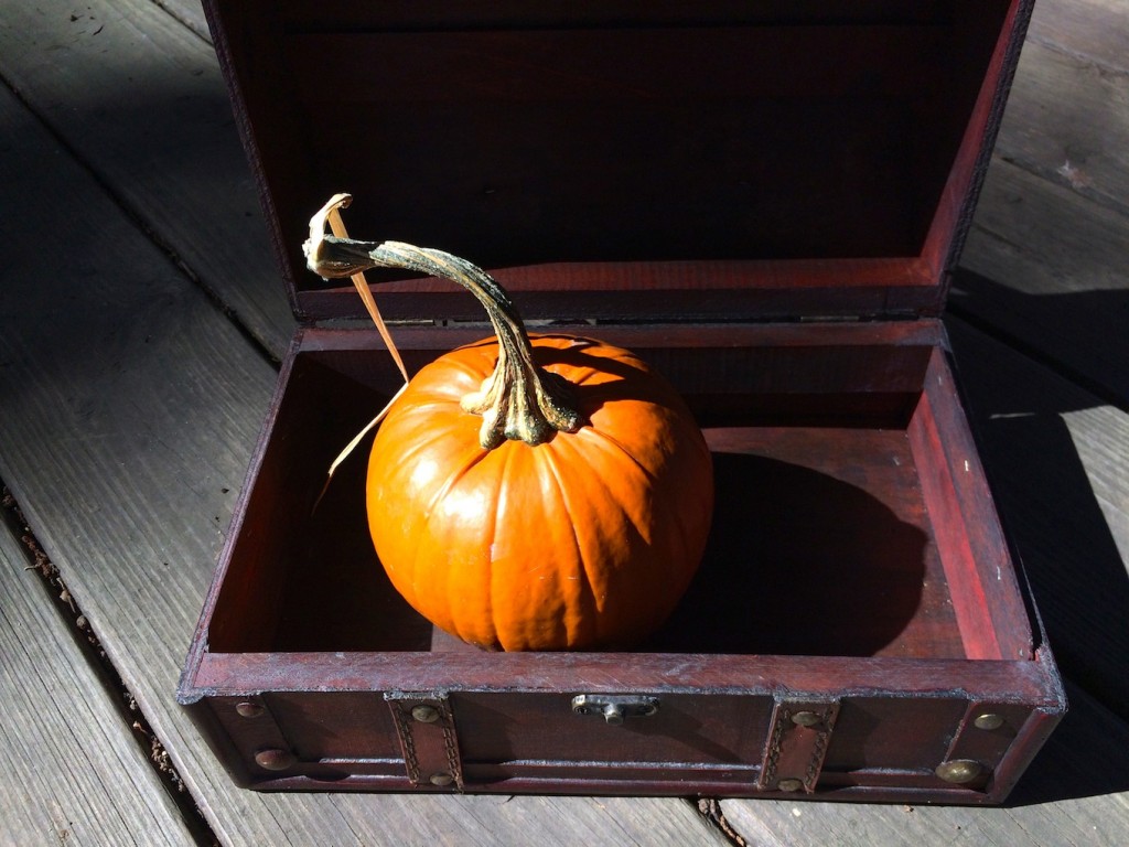 Wondering Box pumpkin