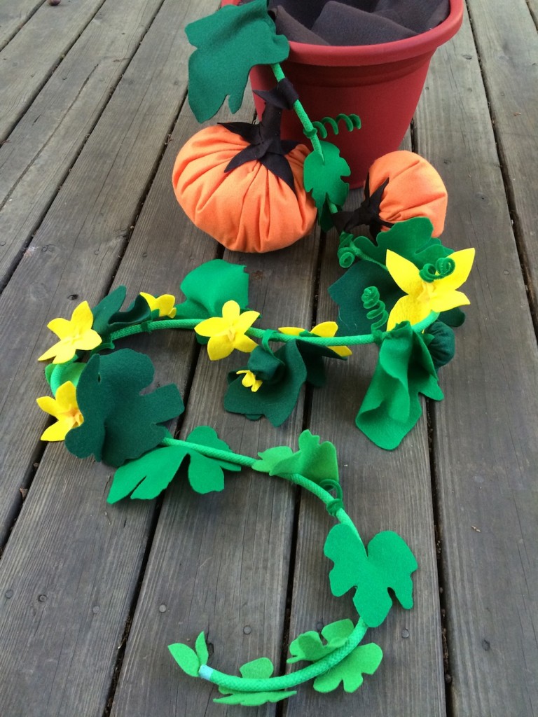 mystery vine 4