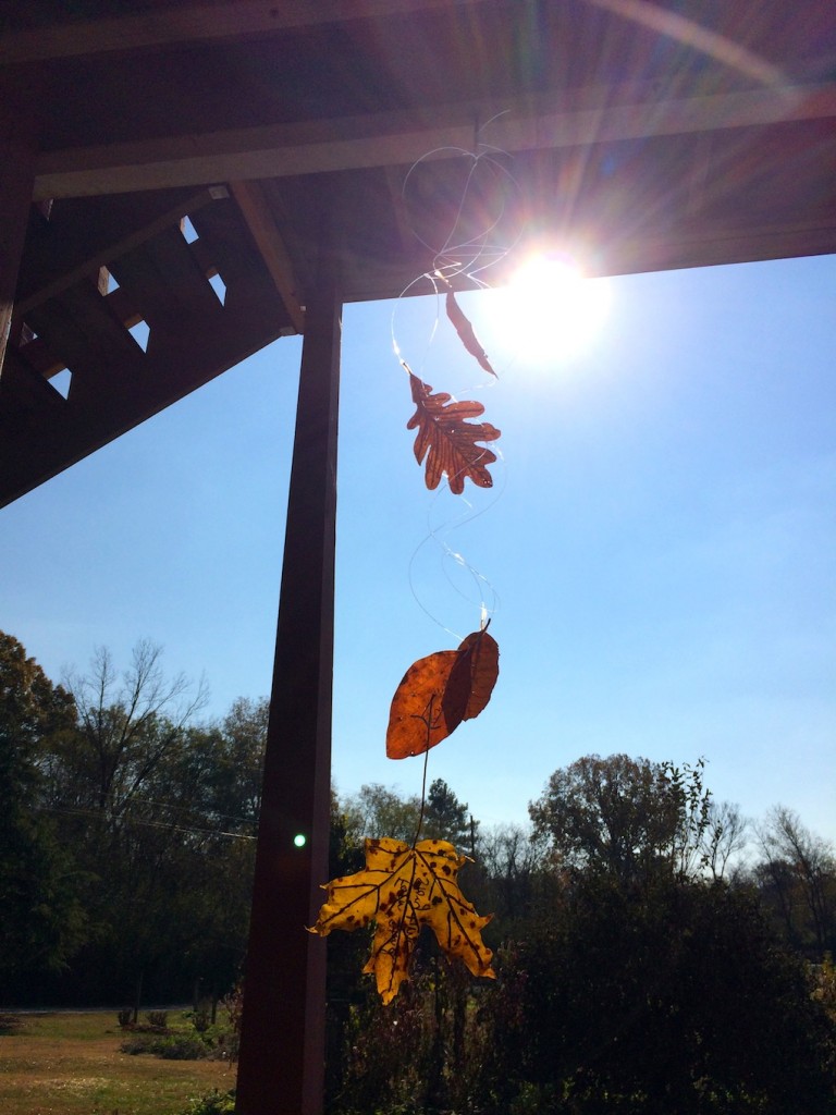thankful leaves 1