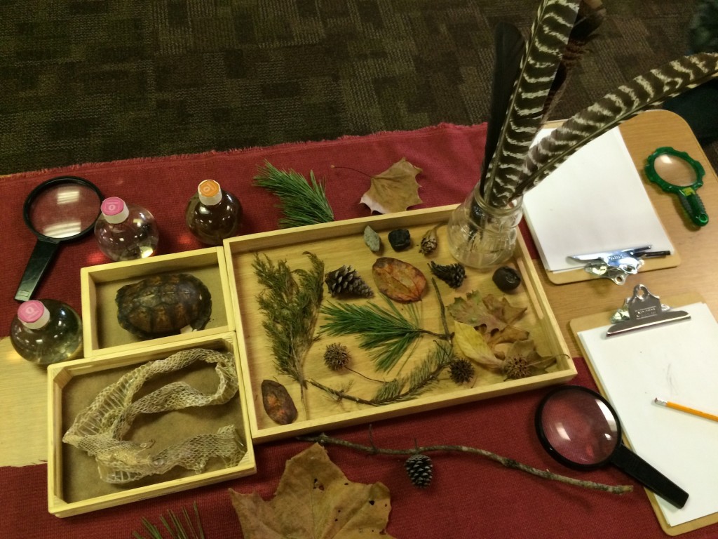 Arboritum Touch Table Nature Center