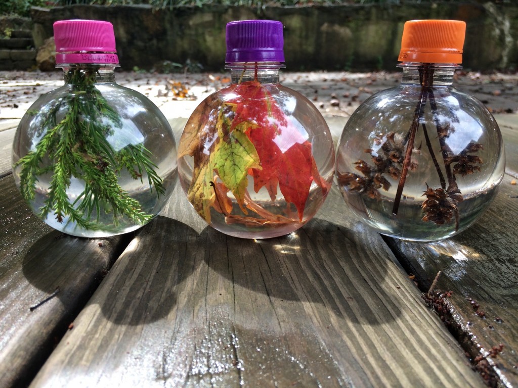 Nature Observation Globes
