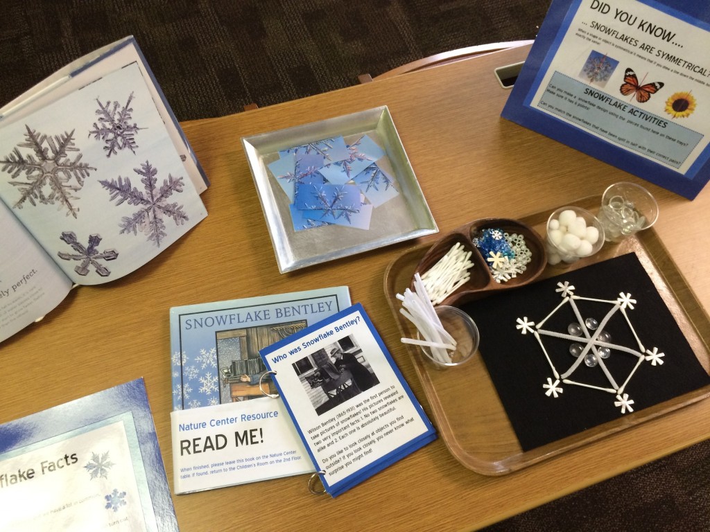 Snowflake Activity Center