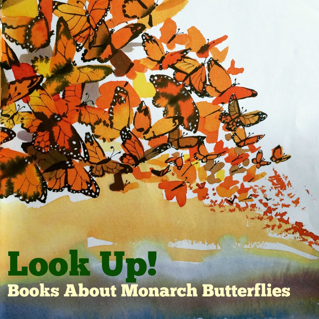 Look Up!  Books About Monarch Butterflies