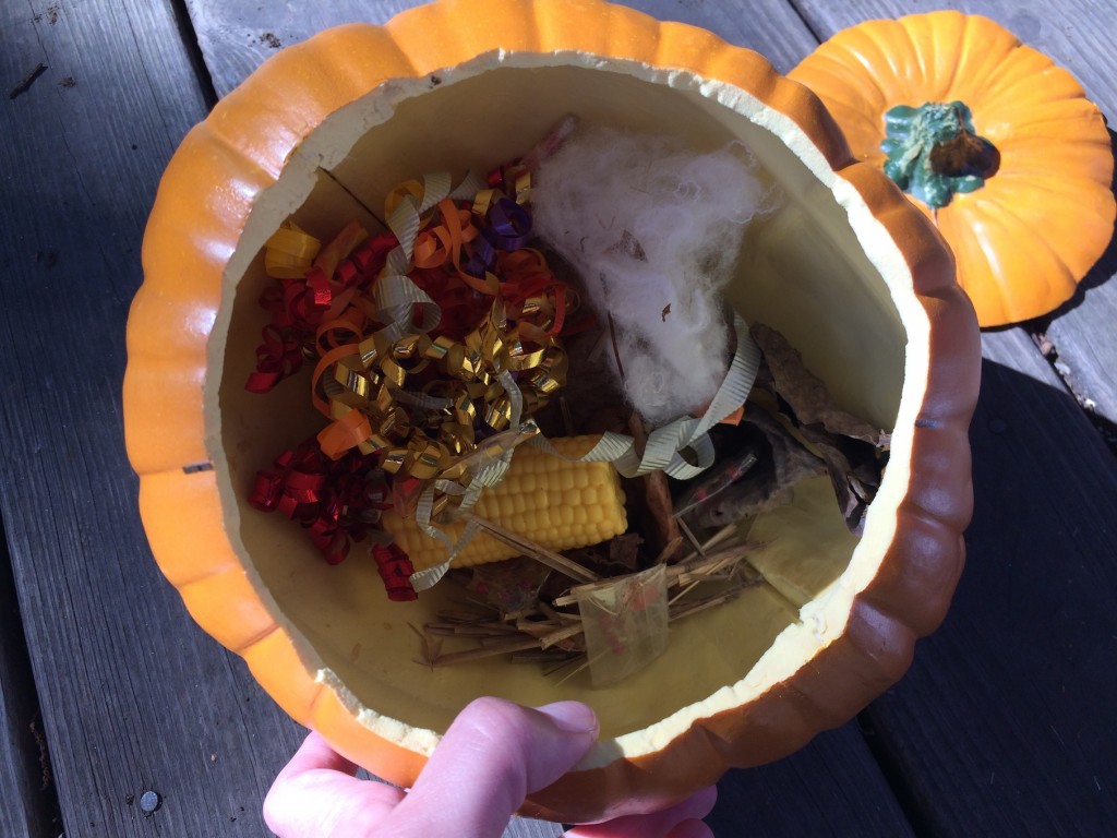 Pumpkin Stew Prop