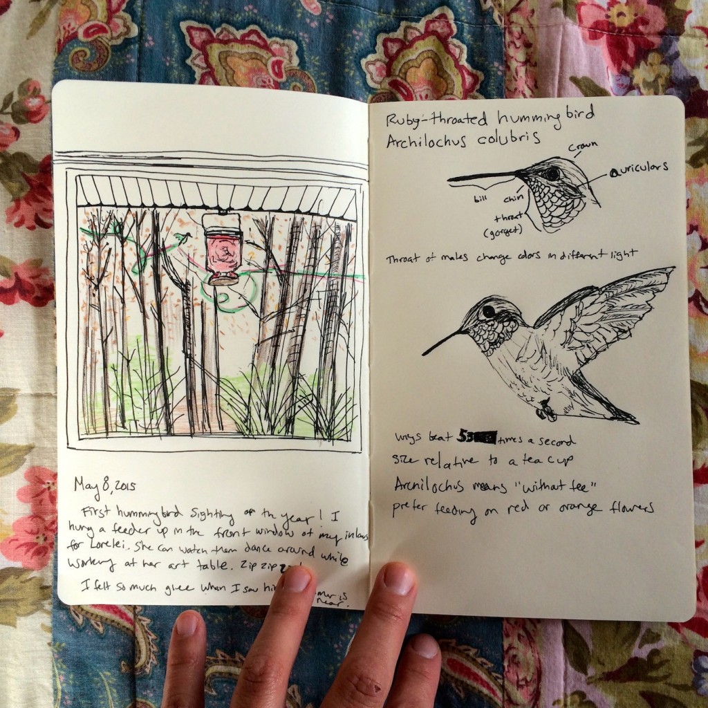 Wild Things 10