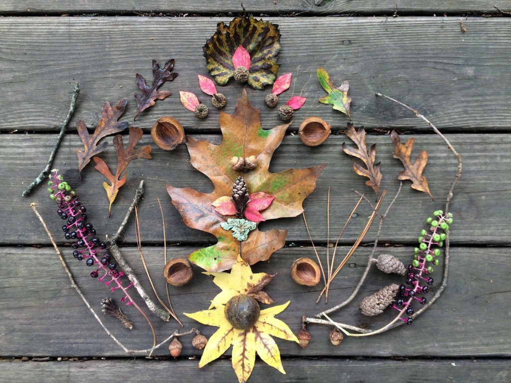 Wild Things 5