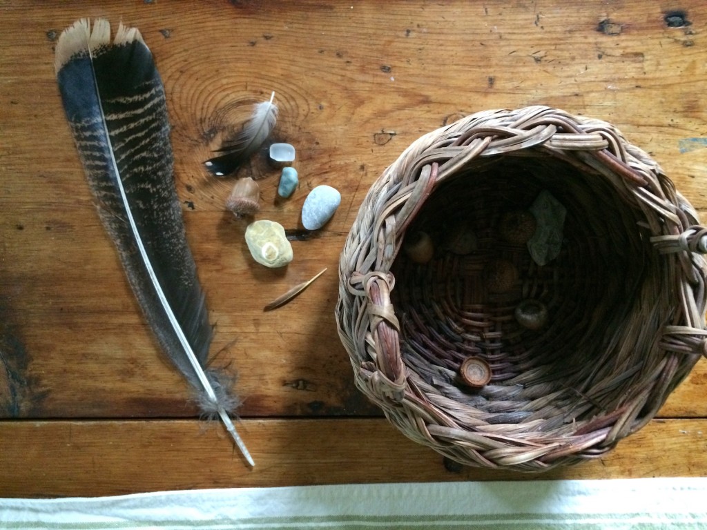 Wild Things 6