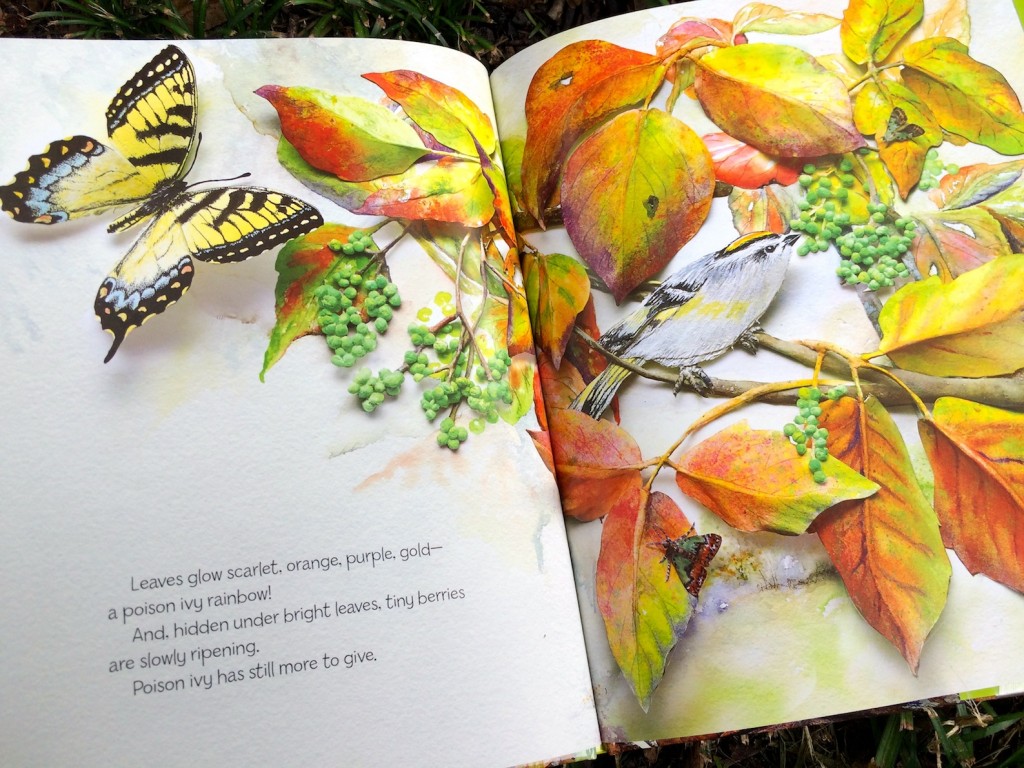 leaflets three let it be 6