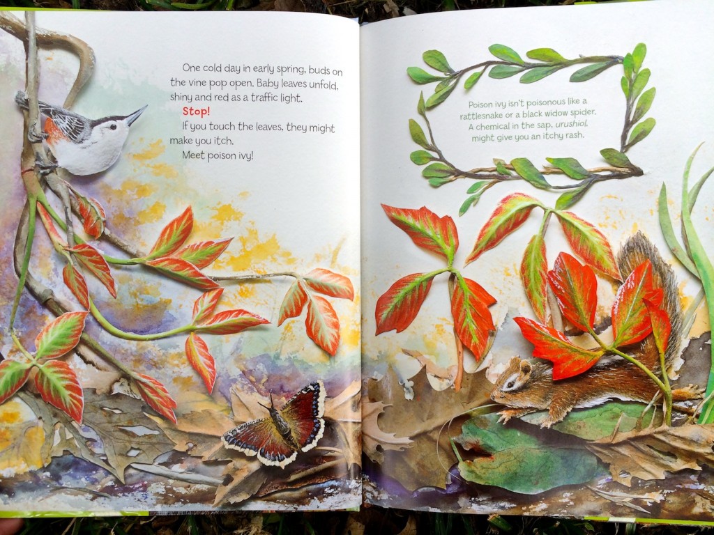 leaflets three let it be spring
