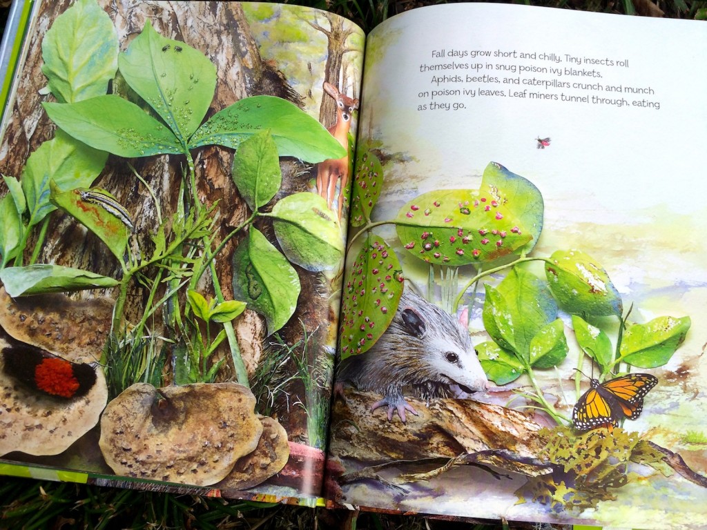 leaflets three let it be