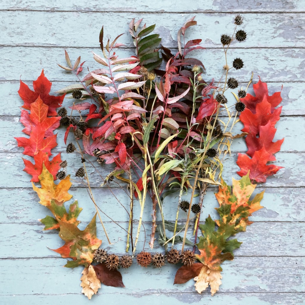 sunday foliage
