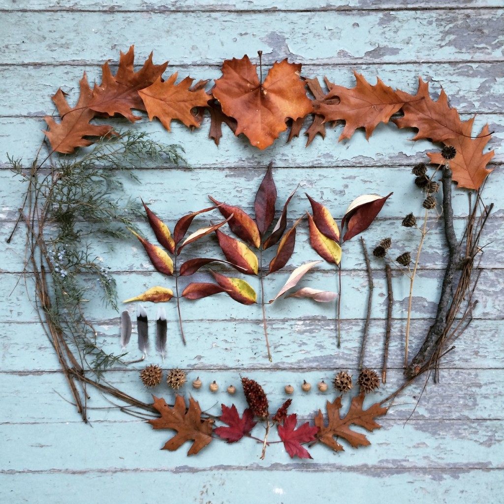 Wild Things in November - November abscission