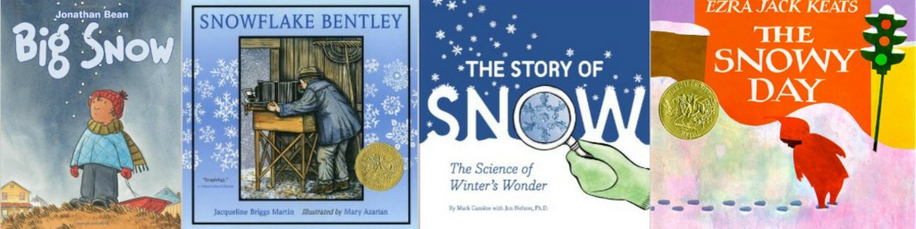 books about snow