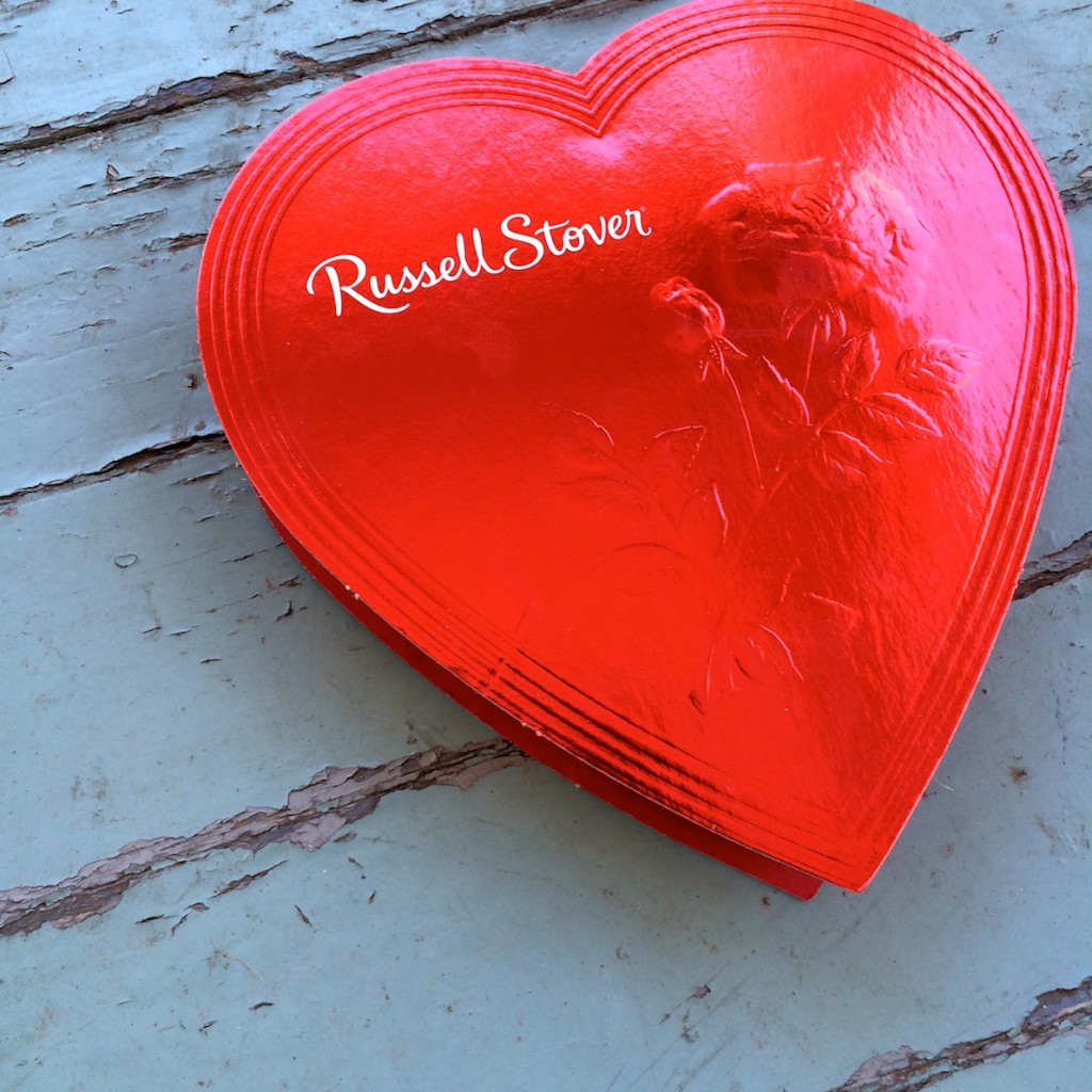 DIY Cabinet of Curiosities chocolate box