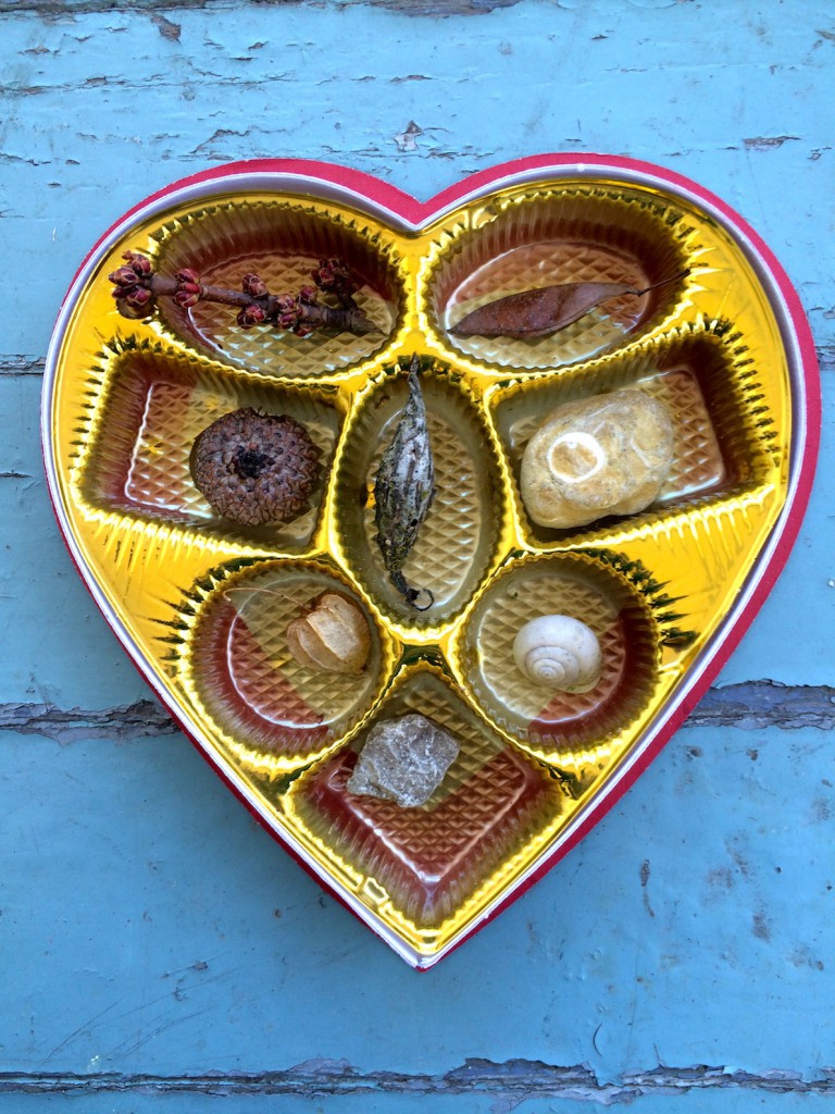 Turn your Valentine's Day chocolate box into a mini cabinet of curiosities for kids. Go on a nature walk and fill the box with small natural treasures
