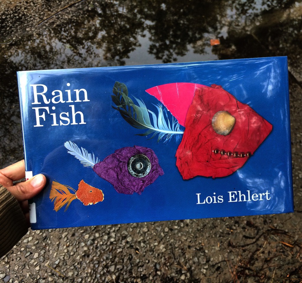 In this rhyming adventure of debris that comes out to play on a rainy day, RAIN FISH by Lois Elhert is a lively story meshing art and nature