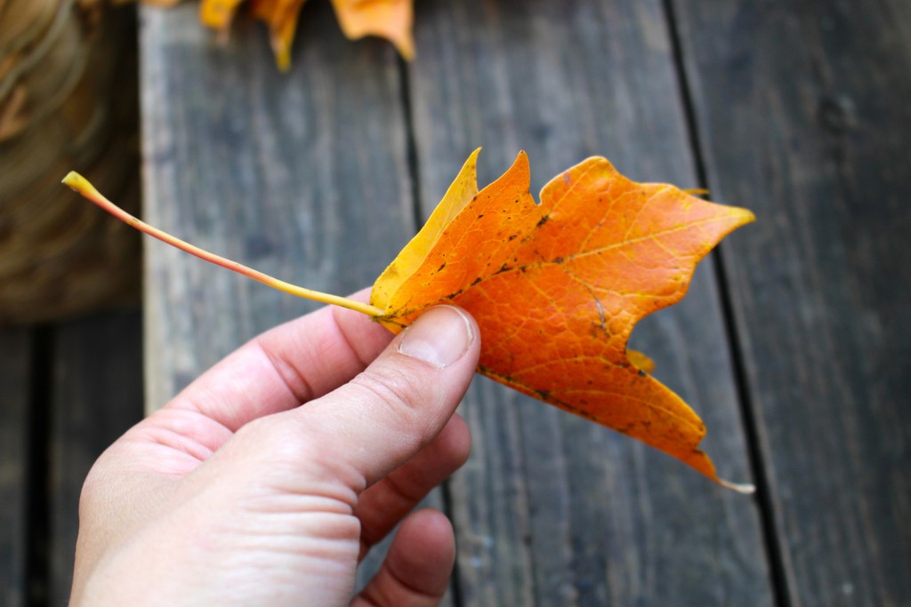 how to make a leaf crown 2 a