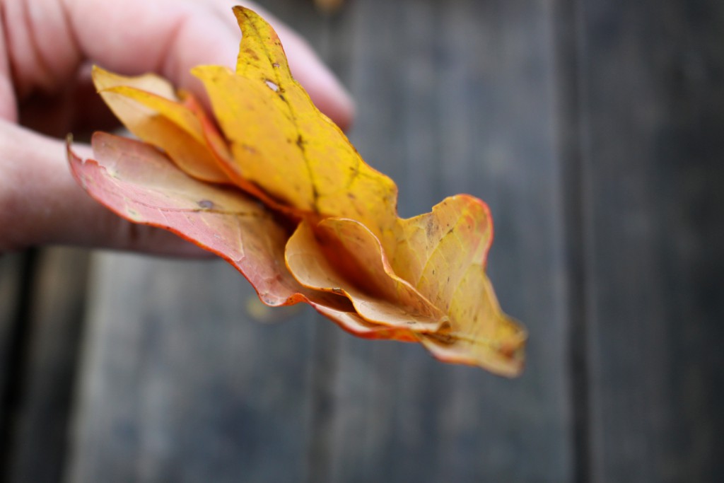 how to make a leaf crown 6