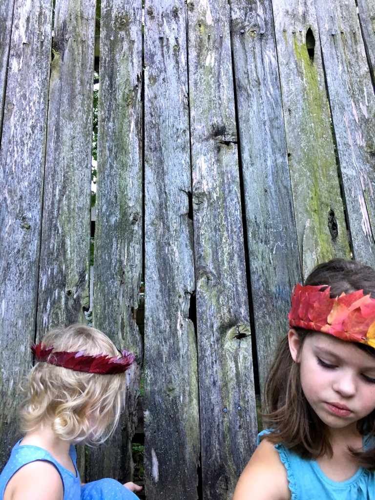 leaf crowns autumn nature activity